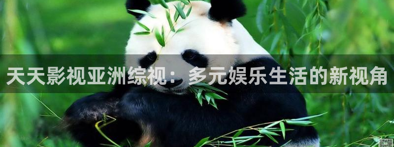 飘雪影院在线观看完整版高清：天天影视亚洲综视：多元娱乐生活的新视角