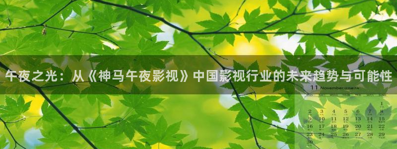 飘雪影院免费观看高清版：午夜之光：从《神马午夜影视》中国影视行业的未来趋势与可能性