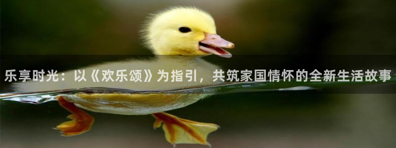 飘雪影院免费观看完整版高清：乐享时光：以《欢乐颂》为指引，共筑家国情怀的全新生活故事